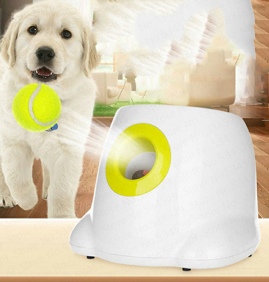 Dog Pet Automatico Interattivo Ball Launcher