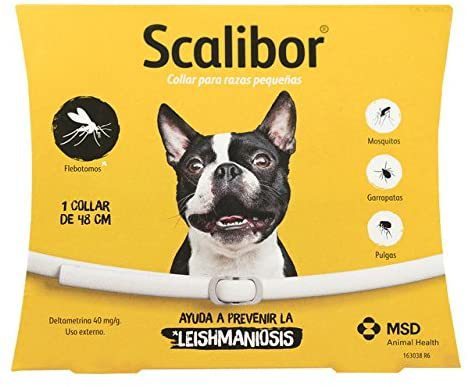 Collar antipulgas para perros y gatos