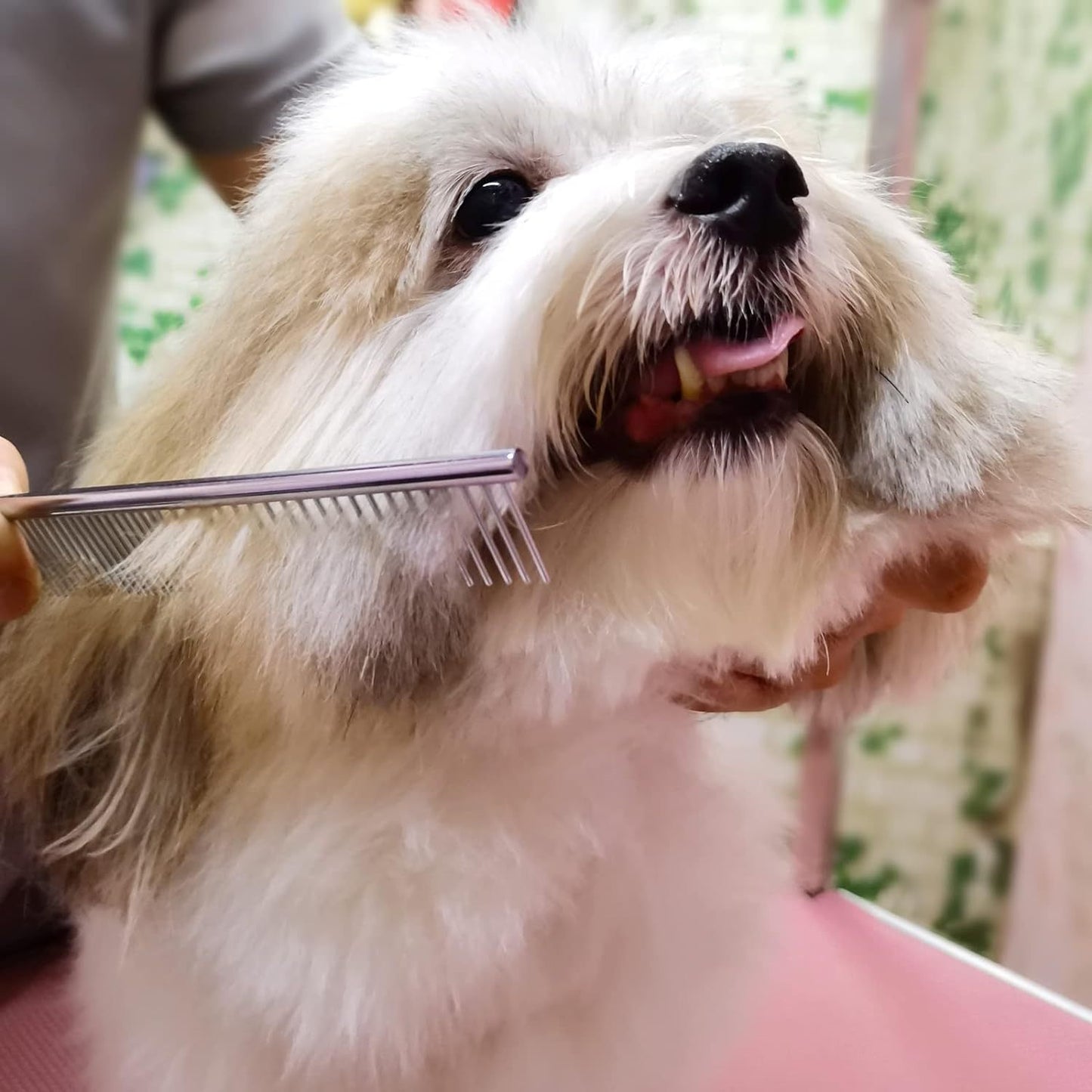 Tijeras de peluquería canina con puntas redondas de seguridad, kit profesional de peluquería canina de acero inoxidable, tijeras curvas de adelgazamiento y peine para perros, gatos y mascotas